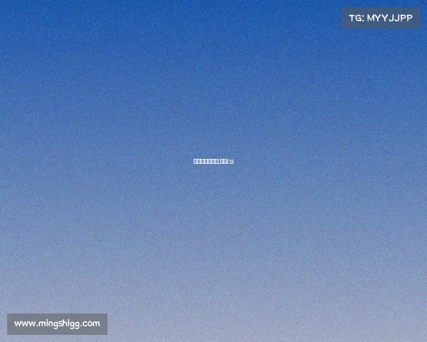 中登协注册赛事;中登ca